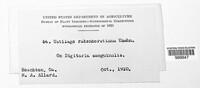 Image Associated With the Occurence